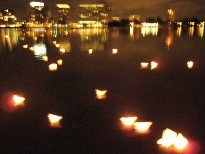 shinealight32571.jpg