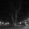 SF0 108.jpg