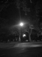 Bike path