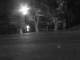 pavement and blinky