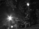 SF0 099.jpg