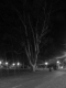 SF0 108.jpg