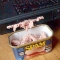 spam.JPG