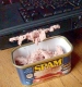 spam.JPG