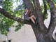 Tree 005.jpg