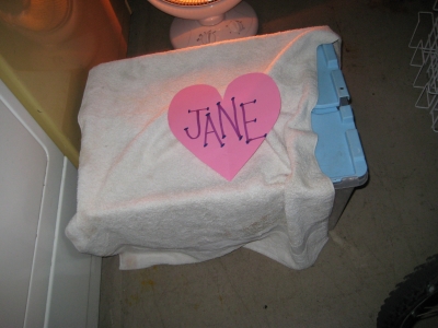 IMG_0348.JPG IMG_0348.JPG