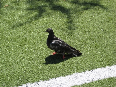 Posing For The Camera