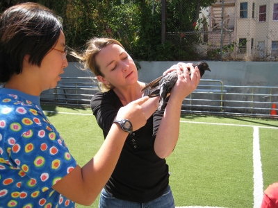 Checking Out The Wing Situation