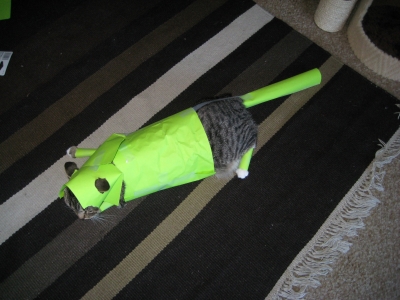 not so much not so much