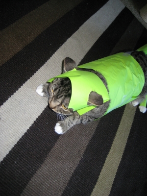 mission complete mission complete