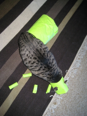 not so much not so much