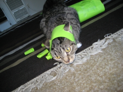 PAPER TIME PAPER TIME