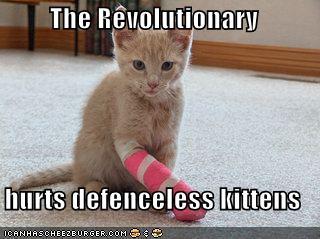 therevolutionar128410367456533750.jpg