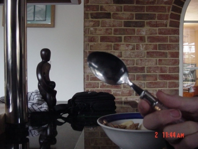 The Spoon