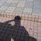 shadow.jpg