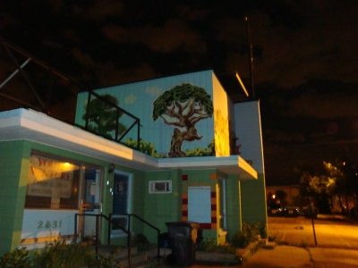 Youth Venture Tree Graffiti