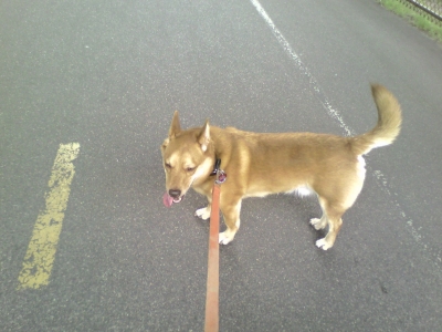 My Partner In Crime