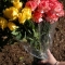 main_sf0flowers36780.jpg