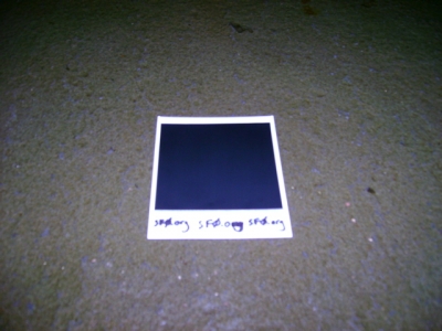 Polaroid