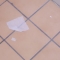 One Ply or Two? One Ply or Two?