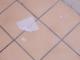 One Ply or Two?