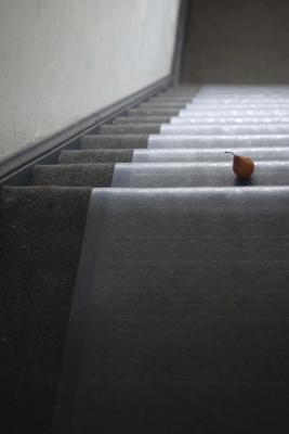 A rare pear goes down the stair