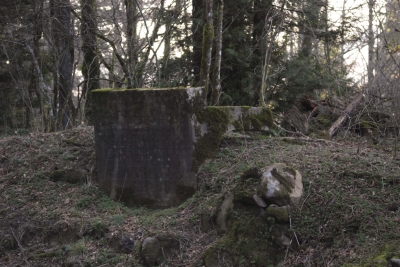 Disobedient Nature (7 of 20).jpg