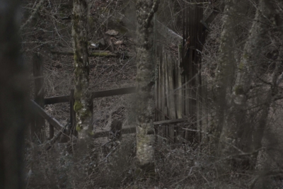 Disobedient Nature (10 of 15).jpg