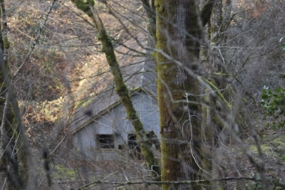 Disobedient Nature (11 of 11).jpg