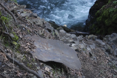 Disobedient Nature (17 of 20).jpg