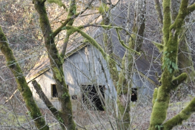 Disobedient Nature (19 of 20).jpg