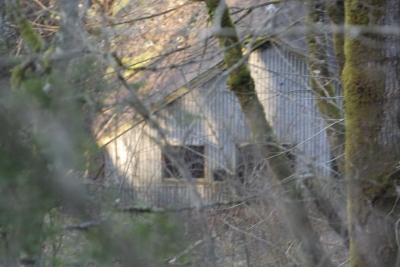 Disobedient Nature (20 of 20).jpg