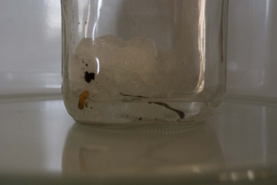 Light Saber (19 of 22)