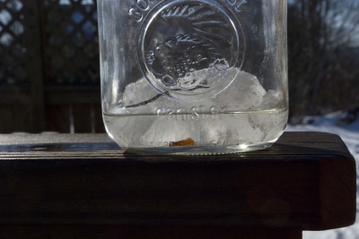 Light Saber (20 of 22)