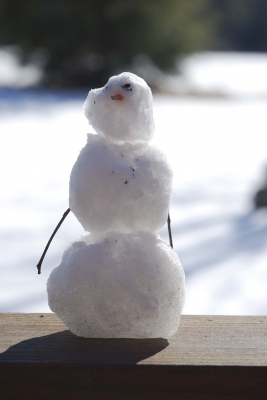 Light Saber (3 of 22)