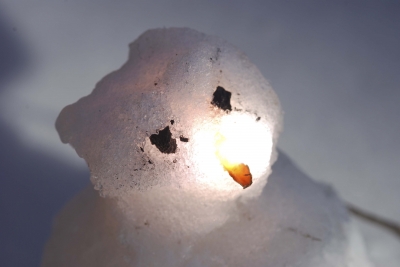 Light Saber (8 of 22)