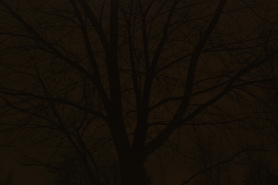 Night Photography (1 of 11)