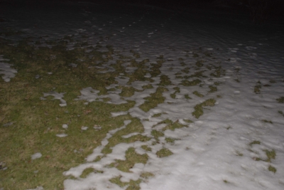 Night Photography (4 of 11)