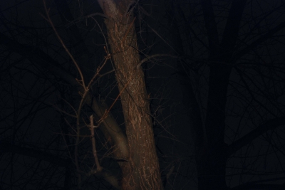 Night Photography (6 of 11)