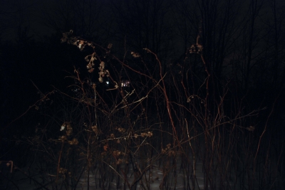 Night Photography (8 of 11)