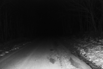 Night Photography (2 of 16).jpg