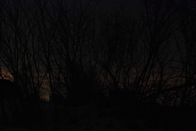 Night Photography (10 of 16).jpg