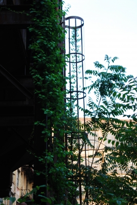 Winchester Factory 224.jpg