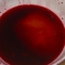 Tomato juice shot in beet tequila