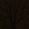 Night Photography (1 of 11)