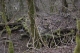 Disobedient Nature (5 of 20).jpg