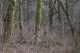 Disobedient Nature (6 of 20).jpg