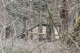 Disobedient Nature (18 of 20).jpg