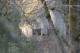 Disobedient Nature (20 of 20).jpg