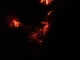 Pouring the coals